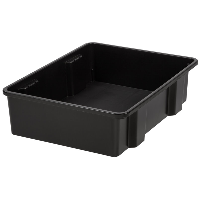 Project Tidy Medium Trunk Tray Plastic Tubs & Totes & Reviews Wayfair